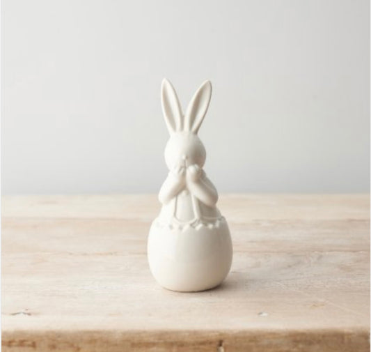White bunny in egg